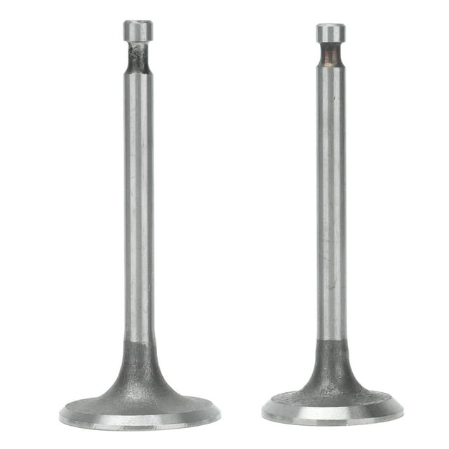 Gasoline Generator Parts,2PCS Intake Exhaust Valve Intake Exhaust Valve Gasoline Accessories True Excellence