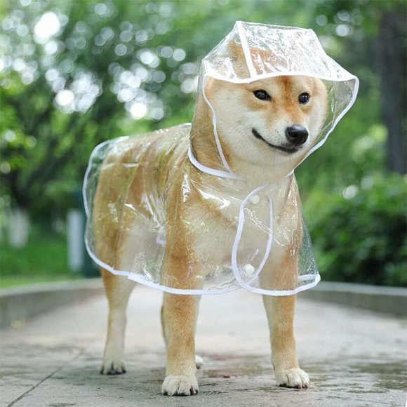 nipocaioWasserdichter Mantel für kleine Hunde und Katzen, mit Kapuze, verstellbar, aus PVC, transparent und ultraleicht