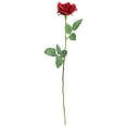 thumbnail image 2 of Allstate Long Stem Artificial Blooming Rose Spray  - 23" - Red, 2 of 9