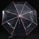 thumbnail image 5 of 4X Paraguas Transparente Paraguas Automatico para Lluviaautomatico Compacto Plegable Estilo A Prueba de Viento Paraguas Transparente , Transparente & Borde Rosado, 5 of 8