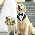 thumbnail image 3 of Pets Dog-Cat Tuxedos Collar Scarf, 3 of 14