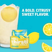 Ninja Thirsti FRUITI CHILL Lemonade Flavored Liquid Water Drops, 3 Pack, WCFLMNDAM