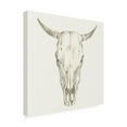 thumbnail image 2 of Trademark Fine Art 'Western Skull Mount I' Canvas Art by Ethan Harper, 2 of 4