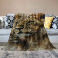 thumbnail image 2 of Orinice Lion Cub Warm Lightweight Blanket Soft Fleece Blankets for All Seasons - Decorative Throw Blanket for Living Rooms, Sofa, Office - Multiple Sizes Available 60x80in, 2 of 6