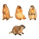 thumbnail image 4 of Figuras de acción de marmota, modelos de animales simulados, decoración de escritorio, estatuas de animales realistas, juguete educativo para regalos,, 4 of 8