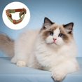 thumbnail image 3 of Comfort Collar, Soft Cowhide Padded Dog Collar For All Breeds, Reflective Velcro Patch, 3 of 5