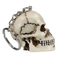 thumbnail image 4 of Pack of 12 Novelty Bone Colored Jointed Homosapien Cranium Skulls Keychains, 4 of 10