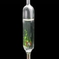 thumbnail image 3 of TISHITA Réservoir d'Aquarium Diffuseur de CO2 Compteur de Bulles Réacteur avec Ventouse Droit, 3 of 8