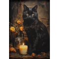 thumbnail image 1 of Impresiones de póster de cuervo negro para sala de estar, decoración del hogar, bruja gótica Victoriana, pintura de lienzo de gato negro, arte de pared, 1 of 4