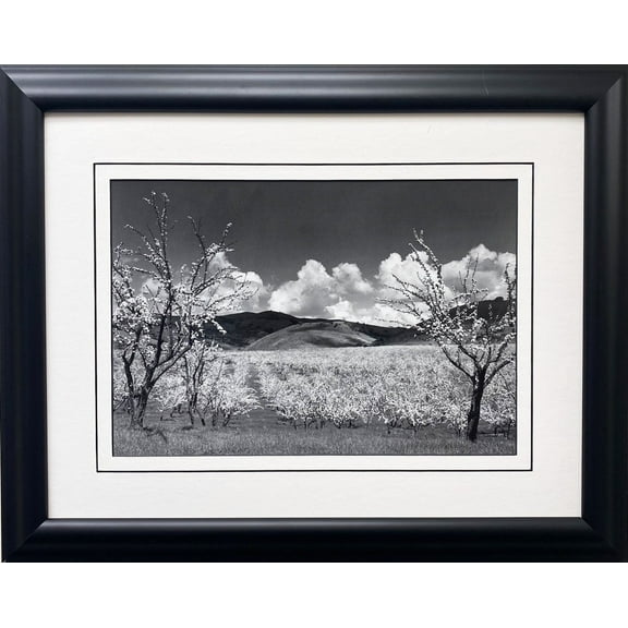 Ansel Adams "Orchard, Santa Clara California"Custom Framed NEW ART Generic