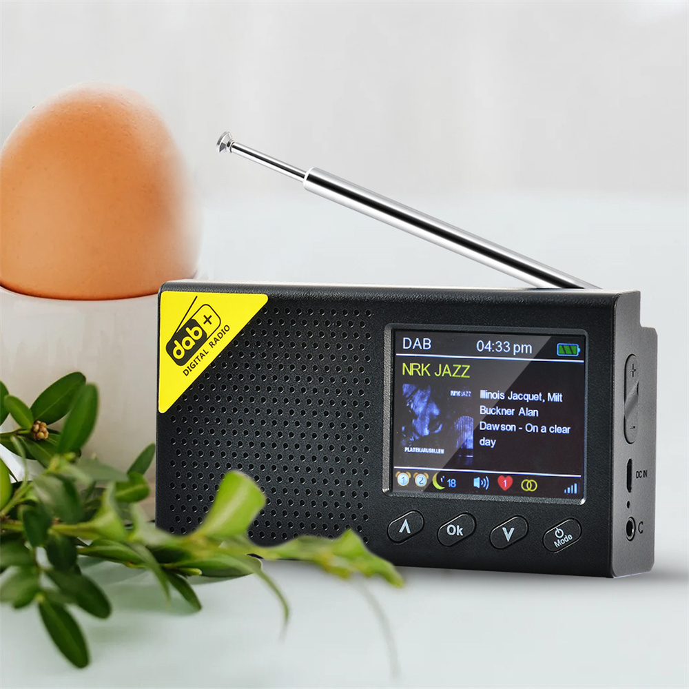 Buy Portable DAB FM Digital Radio With Bluetooth,2.4inch LCD Display