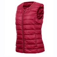 thumbnail image 2 of SHTXOZHI Women Puffer Vest Sleeveless Warm Outerwear Winter Lightweight Coat Down Jackets, 2 of 5