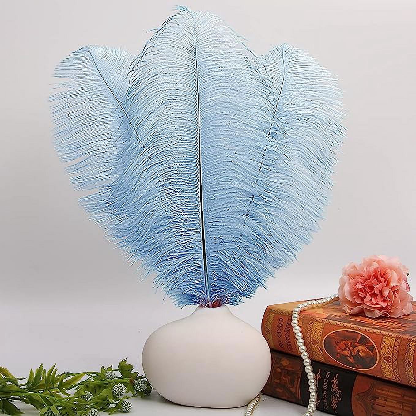 ERDOUY 12pcs Baby Blue Ostrich Feathers Natural Bulk 16-18Inch 40cm-45cm for Wedding Party Centerpieces Easter Gatsby and Home Decorate Ostrich Feathers