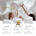 thumbnail image 6 of Royoliving Premium Feathers Down Duvet Insert Comforter Queen Size All Season Medium Warmth White 100% Cotton Cover with Corner Tabs (90x90, 50 oz), 6 of 7