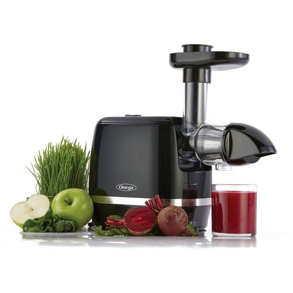 Omega Horizontal Slow Masticating Juicer, Cold Press 90-110 RPM