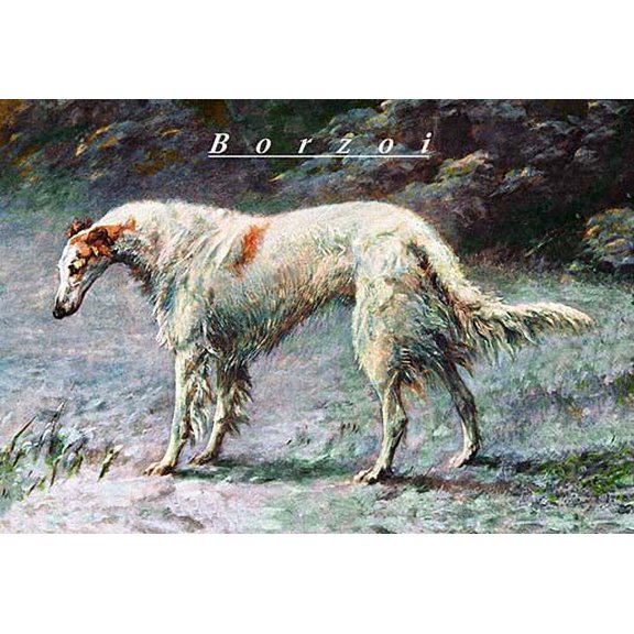 Champion Borzoi Fine art canvas print (20" x 30")