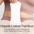 thumbnail image 3 of Cora 100% Organic Cotton Topsheet Regular Panty Liner, 40 Count, 3 of 8