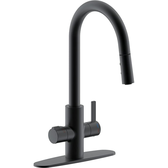 Westbrass 4 in 1 Kitchen Faucet with Dual Spray Mode Pull Down Retractable Sprayer, Matte Black