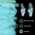 thumbnail image 2 of Uxcell 100 Pack Feathers for Crafting Light Blue 1.57-3.15 inch Natural Fluffy Feathers Plume for Wedding Decorations, 2 of 6