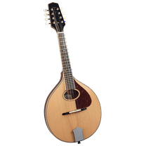 Trinity College TM-250 Standard Celtic Mandolin – Natural Top