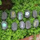 thumbnail image 5 of Flores artificiales, plantas artificiales, flores falsas, pavimento de resina, horticultura, macetas, suculentas, pavimento, patio, paisajismo, 20 piezas, algunas piedras, 5 of 9