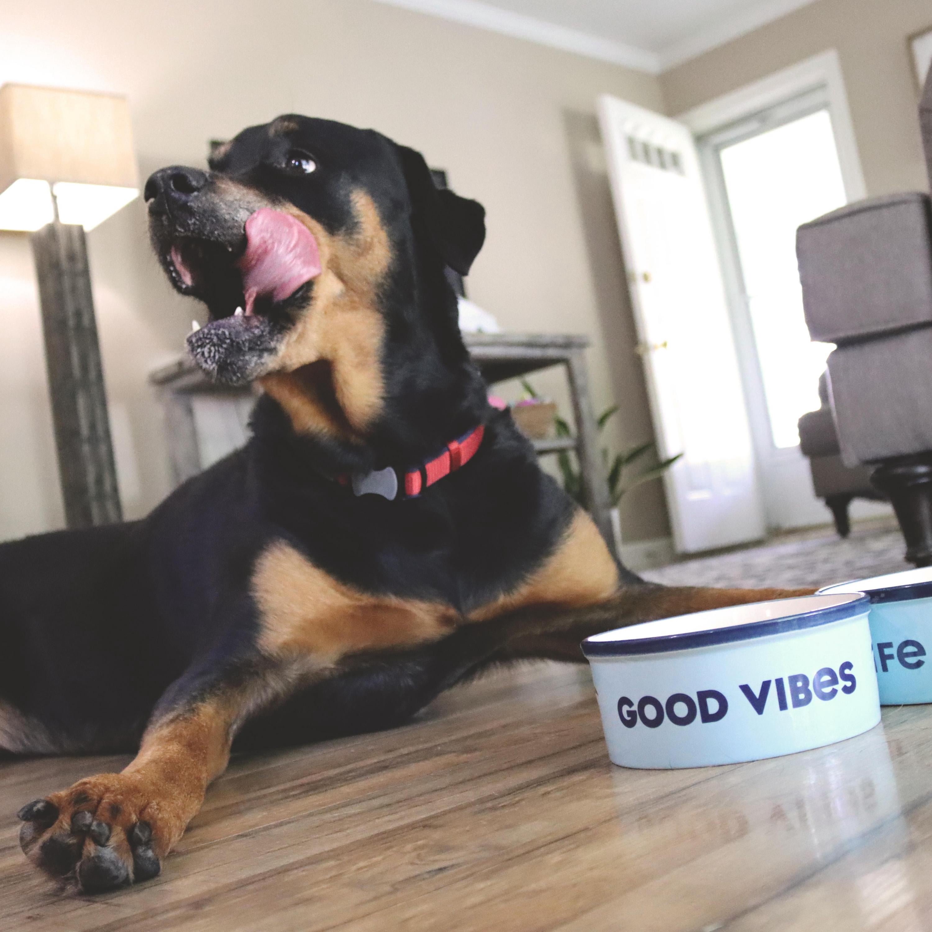 Life Is Good Ceramic Bowl for Pets, Light Blue, 29 oz