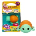 thumbnail image 2 of Little Live Pets NeeDees Sandee Turtle Interactive Wearable Pet with 50+ Sounds & Reactions, Blinking Eyes, Collectible Toy for Kids Ages 5+, 2 of 5
