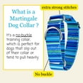 thumbnail image 3 of Country Brook Petz® HossFit Jr Wide Martingale Dog Collar (Blue Serape, Medium), 3 of 6