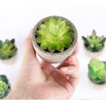 thumbnail image 4 of Planta artificial Planta suculenta artificial 6 piezas con maceta gris, mini plantas verdes falsas de plástico, decoración para sala de estar, balcón, dormitorio, baño, decoración de mesa, 4 of 6