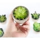 thumbnail image 5 of Planta Artificial Interior 6 Piezas, Plantas Falsas con Maceta Gris Decoración de Césped Artificial para Bodas al Aire Libre Mesa de Oficina Jardín Nuevo Regalo para el Hogar, Pequeñas Suculentas, 5 of 7