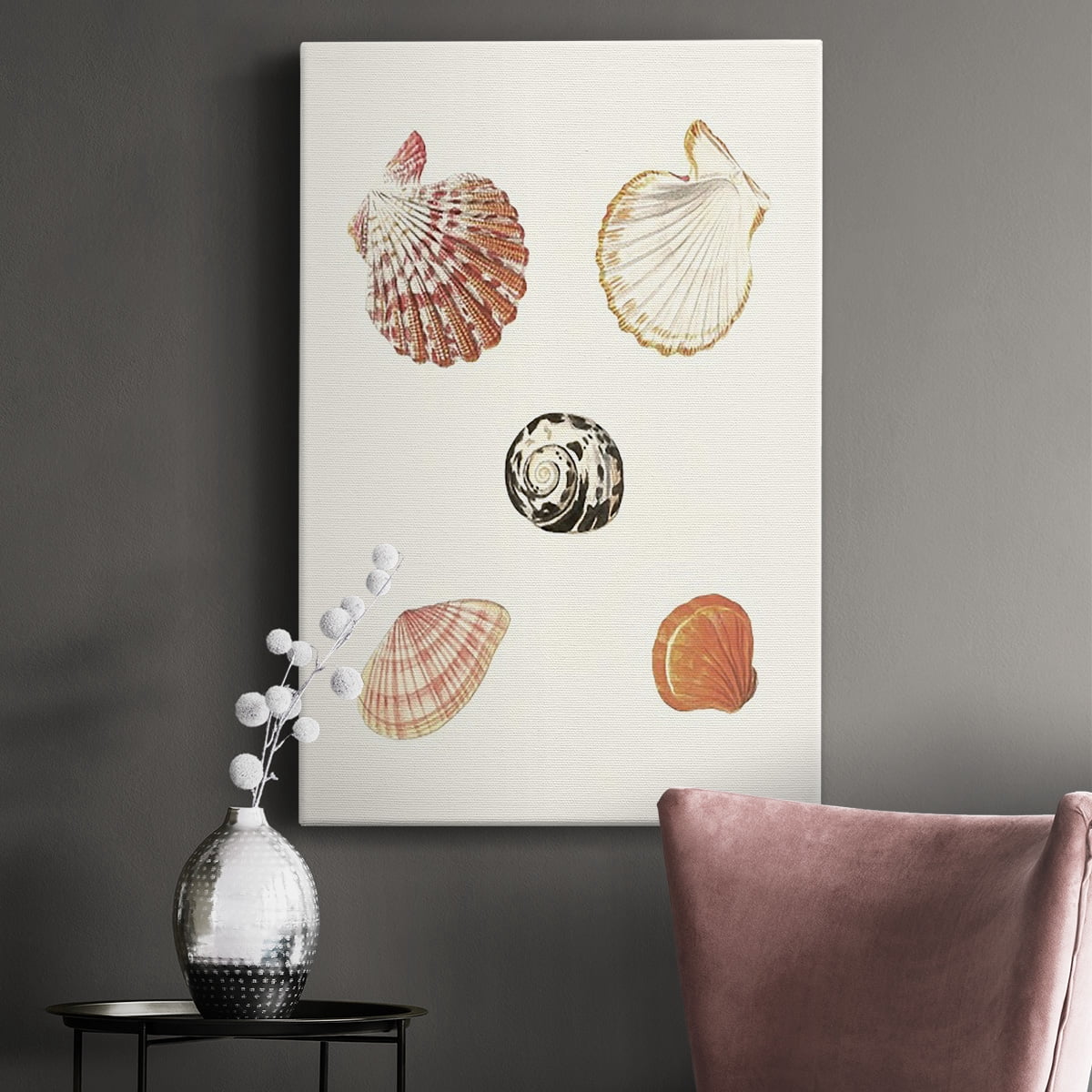 Pastel Knorr Shells VIII Premium Gallery Wrapped Canvas - Ready to Hang