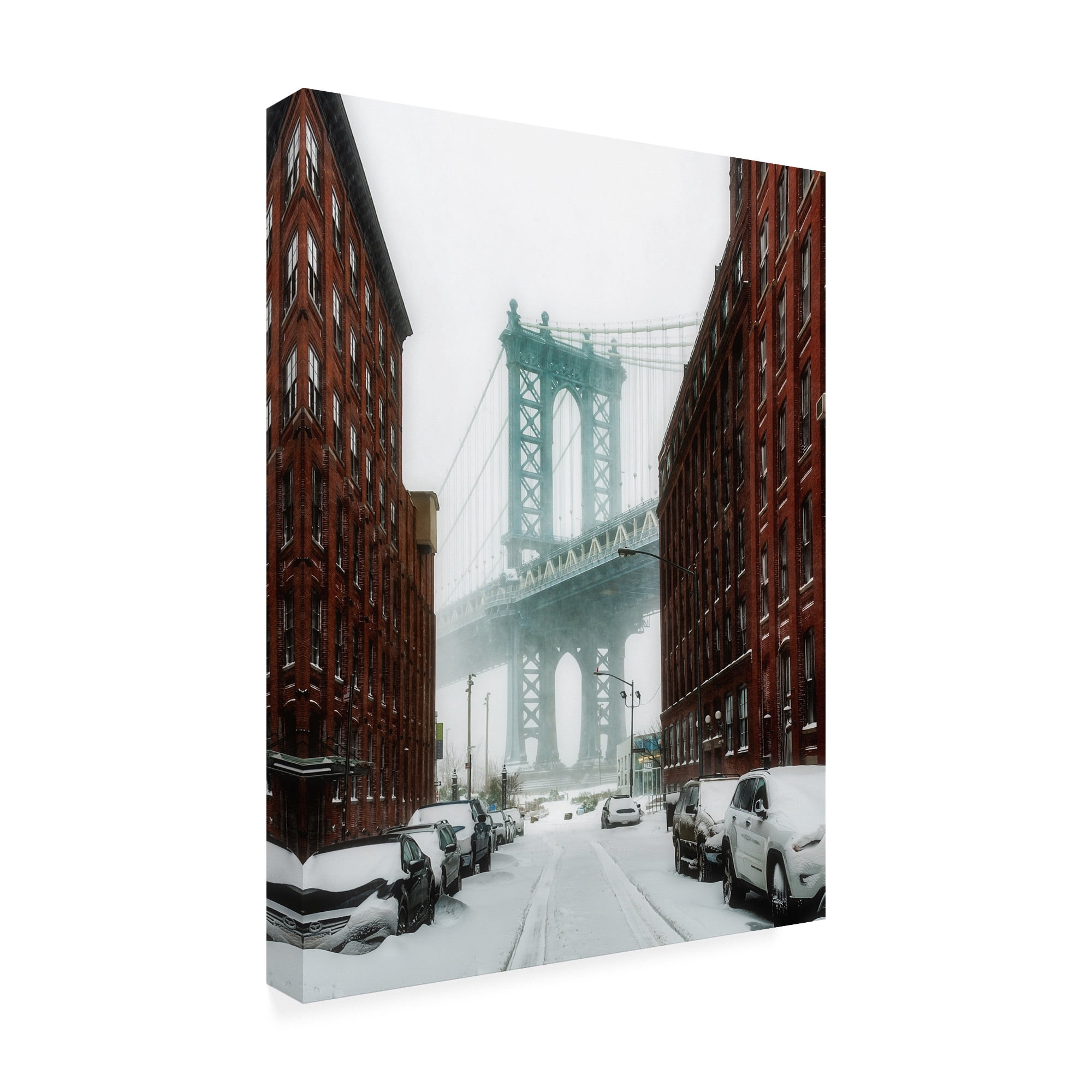 Trademark Fine Art 'The New York Blizzard' Canvas Art by Bruce Gett