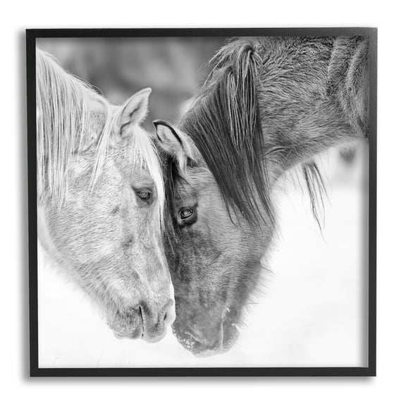 Stupell Industries Horse Hug Photography Animals & Insects Photography Black Framed Art Print Wall Art, 12 x 12