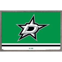NHL Dallas Stars - Logo 21 Wall Poster, 14.725" x 22.375", Framed