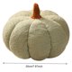 thumbnail image 2 of HBASD 2024 - Cojín decorativo de calabaza en 3D, ideal para Halloween, para sofá o sala de estar (verde, 20 cm), 2 of 4