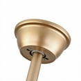 thumbnail image 6 of Retro 20” Caged Ceiling Fan with Light Kit and Remote Control, 6 of 13