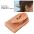thumbnail image 3 of Soft Silicone Ear Model, Reused Ear Displays Mould Soft Professional Ear Piercing Tool  3D Acupuncture Silicone for Piercing Practice Earring Display, Acupuncture, Display Model, 3 of 7