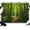 Green, variant on Winter Frosty Path Backdrops for Photography, Snowy Trees Bare Branches Rustic Fabric Photo Background Sturdy Studio Props for Photo Studio, Video Recording, Booth & Photoshoot 10x8ft