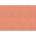 thumbnail image 1 of Ahgly Company Machine Washable Indoor Rectangle Transitional Bright Orange Area Rugs, 2' x 4', 1 of 7