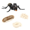 thumbnail image 2 of 2 Figuras De De De Hormigas De Simulación, Juguete De Imaginación Para , Color Negro 2 piezas CUTICAT Simulación de etapas del ciclo de vida, 2 of 8