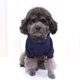 thumbnail image 5 of Sudadera con capucha y bolsillo para perro: suéter cálido para otoño e invierno, ropa para cachorros, perros pequeños y medianos, artículos esenciales para mascotas., 5 of 7