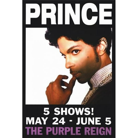 Pop Culture Graphics MOVGF4314 Prince Movie Poster Print, 27 x 40