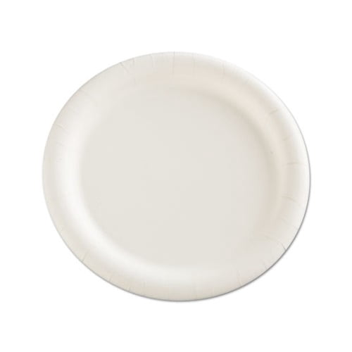 Premium Coated Paper Plates 9" dia, White, 125/Pack, 4 Packs/Carton