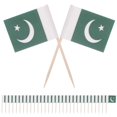 thumbnail image 2 of 100pcs Pakistan Flag Toothpicks Decorative Flag Cake Picks Nation Flags Cake Toppers, 2 of 3