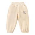 thumbnail image 2 of fnnxnal Kids Boys Beige Fleece Lined Cotton Pants - Warm Casual Sporty Loose Fit with Elastic Waist/Cuffs for Cold Weather, 3-10 Years, 1pc,Size 7 T, 2 of 5