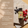 thumbnail image 4 of ChildLife Essentials Liquid Iron: Essential for Healthy Blood, Berry Flavor, 4 Fl Oz Bottle (Pack of 1), 4 of 8