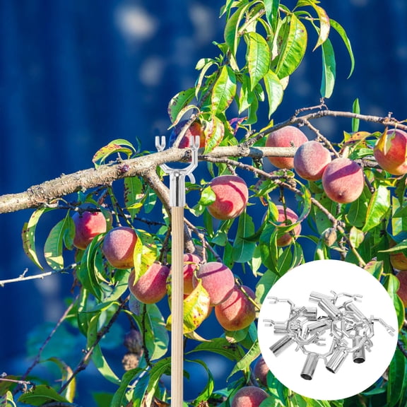 LULULION 10Pcs Metal Fruit Tree Support Forks Plated Silver Garden Branch Brace Durable