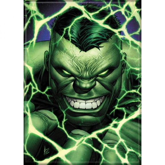 Marvel Immortal Hulk 1 Variant Ata-Boy Magnet 2.5" X 3.5"