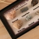 thumbnail image 5 of de Ciencia ógica de Colección de Fósiles de Marinos Naturales de 15-40 Paquetes - Paquete de 15 piezas Sunnimix Colección de muestras de fósiles, 5 of 8