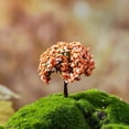thumbnail image 2 of Fairy Garden Supplies, Mini Plants Model Trees for Dollhouse Decor, Miniature Fairy Garden Tree for Landscape Designs Architectural Models Diorama Supplies Railroad Model, 1Pc,B, 2 of 3